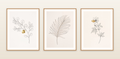 Botanical Ink Gallery Wall Collection — photo 1